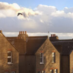 A row of terraced house rooftops with chimneys